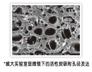 顯微鏡下的活性炭吸附孔徑－威大活性炭生產(chǎn)廠家實(shí)驗(yàn)室拍攝